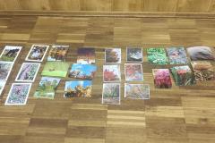 Photo1-2