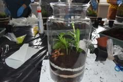 Photo26