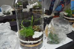 Photo31