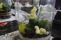 Photo35
