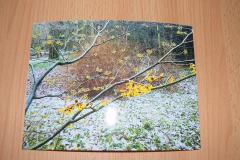 Photo11