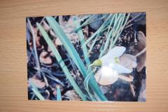 Photo9